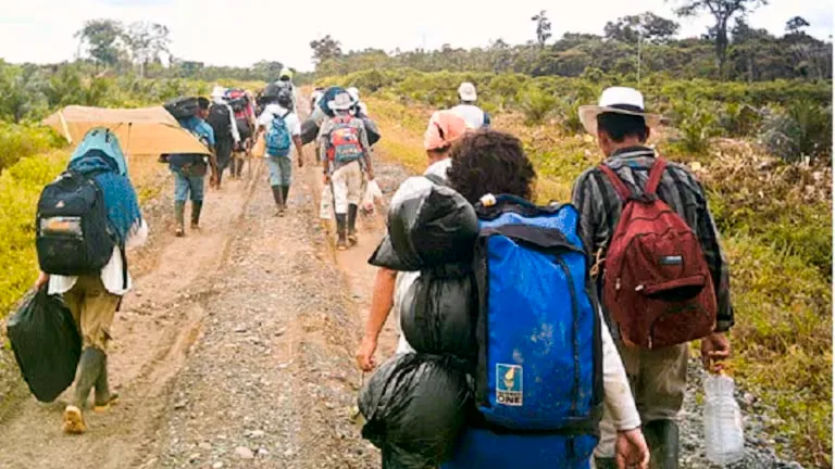 Defensoría alerta por riesgo de masacres y desplazamientos en Nariño