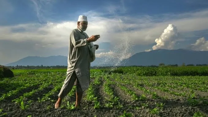 India reporta una baja del 22% en venta de fertilizantes por el clima
