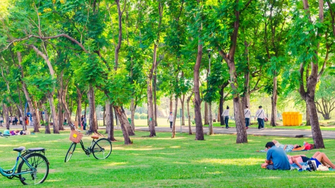 Qué hacer en un día de campo: Las mejores actividades al aire libre